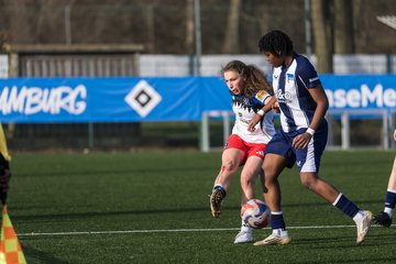 Bild 374 - wBJ Hamburger SV - Hertha BSC : Ergebnis: 2:1